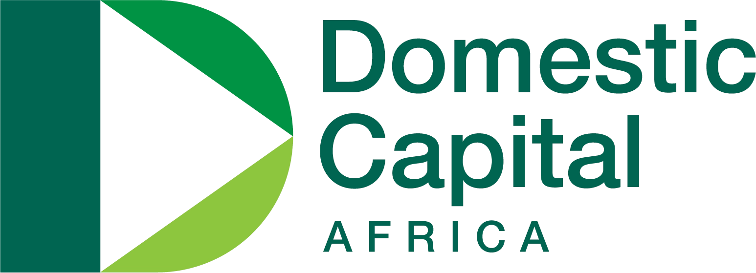Domestic Capital Africa